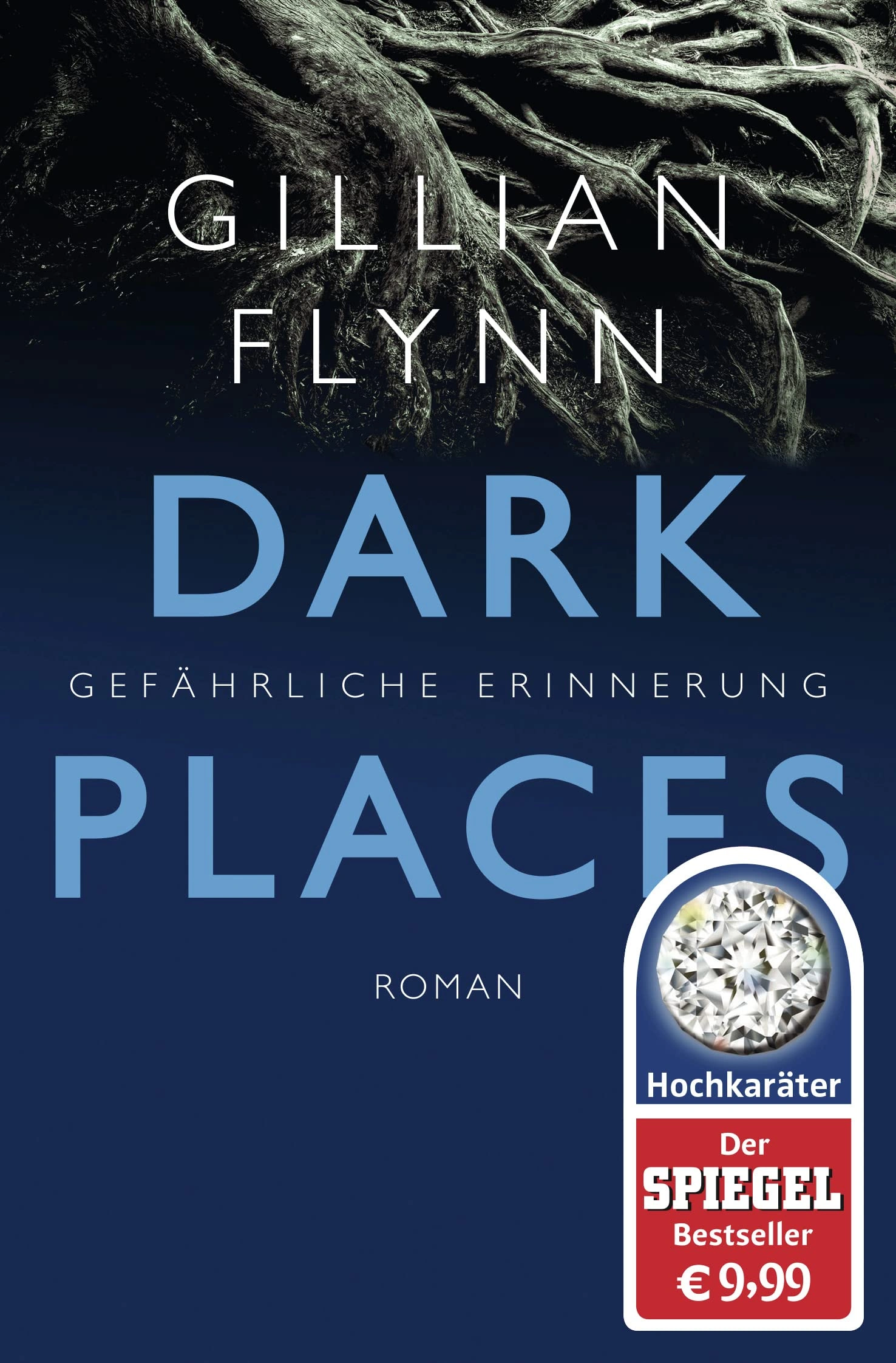 Dark Places Gefährliche Erinnerung Gillian Flynn Kriminalroman Thriller Buch 1