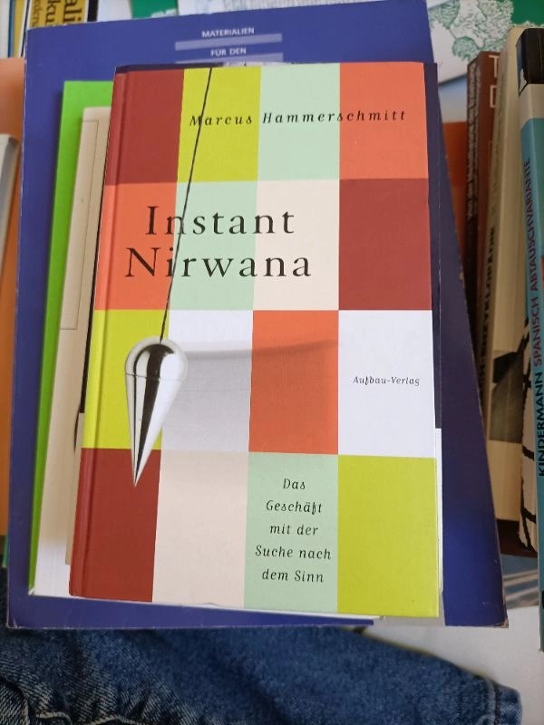 Instant Nirwana Marcus Hammerschmitt Esoterik Geschäft Sinn Suche Buch 2